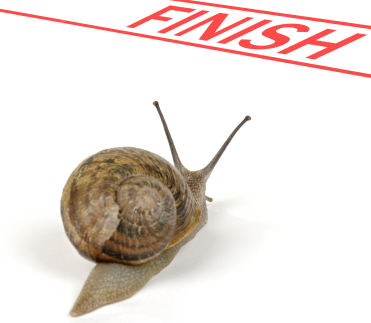 snail finish